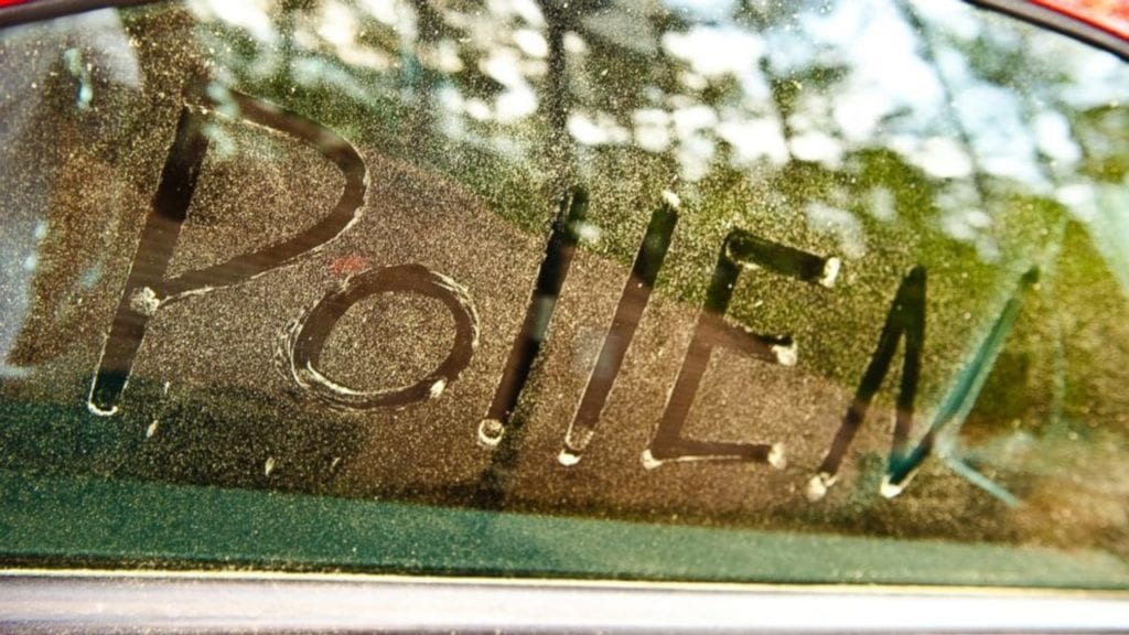Pollen removal pressure washing window cleaning hilton head sc